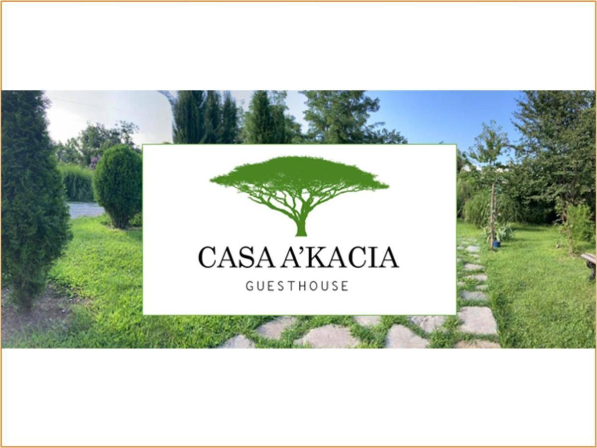 Готель Casa Akacia Телаві Екстер'єр фото